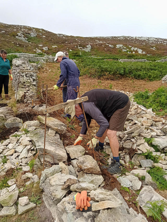 Gwirfoddolwyr yn gosod sylfeini'r wal cyn ailadeiladu