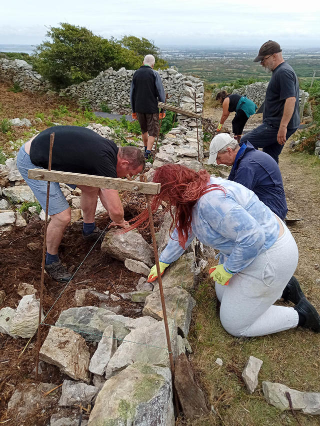 Gwirfoddolwyr yn ailadeiladu'r wal gerrig sych