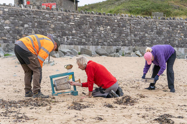 Gwirfoddolwyr yn chwilio am 'nurdles' a phlastig bach ar y traeth