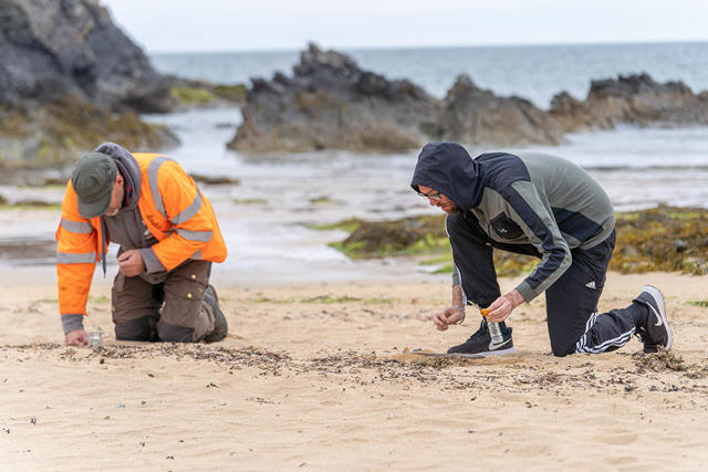 Gwirfoddolwyr yn chwilio am 'nurdles' a phlastig bach ar y traeth