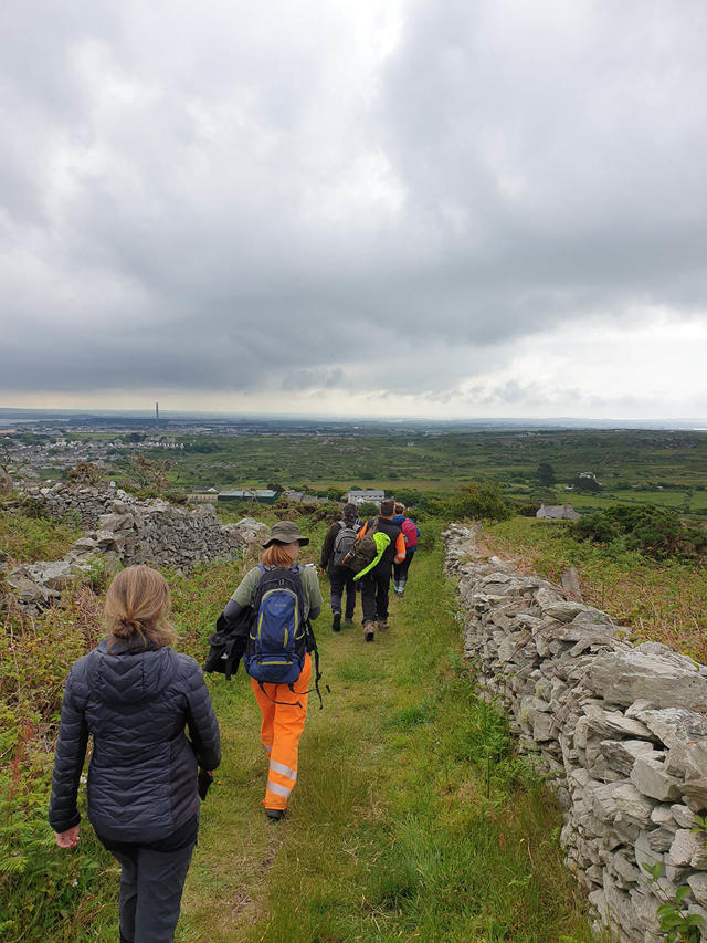 Gwirfoddolwyr yn cymryd rhan mewn arolwg bywyd gwyllt