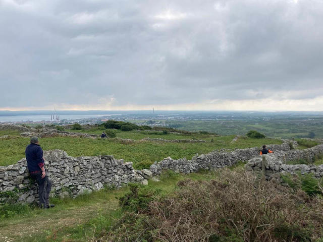 Gwirfoddolwyr yn cymryd rhan mewn arolwg bywyd gwyllt