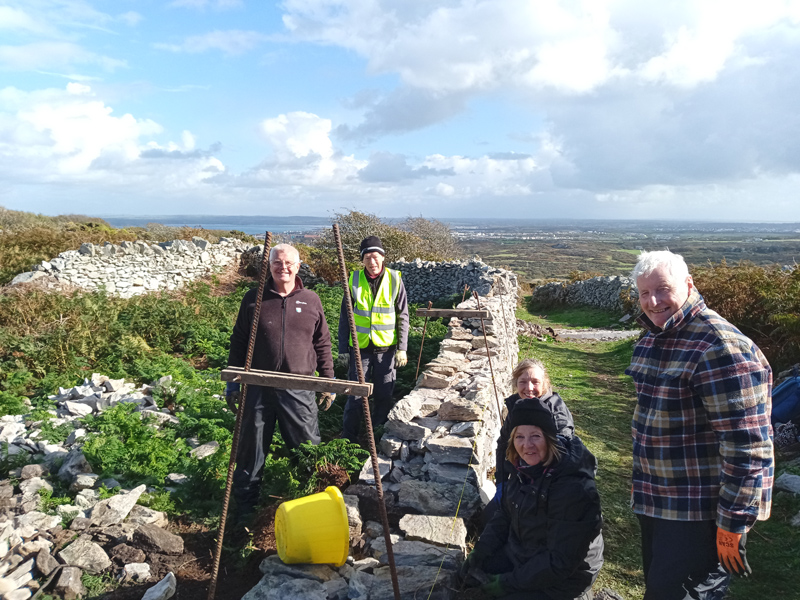 Gwirfoddolwyr y Bartneriaeth yn atgyweirio waliau cerrig sych yn Y Lleiniau, Llaingoch