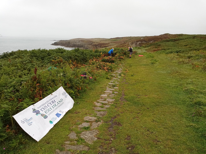 Path clearance at the Rocky Coast, Breakwater Park