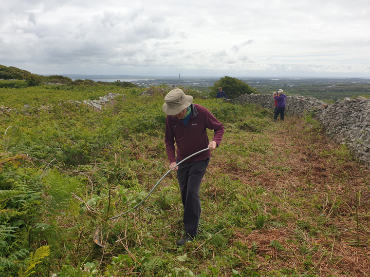 Overgrowth clearance at the Quillets, Llaingoch