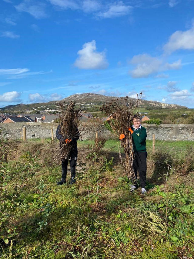Disgyblion ysgol yn gwirfoddoli yn Y Goedwig Fechan