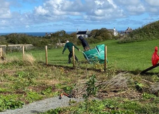 Paratoi’r Goedwig Fechan ar gyfer y gaeaf trwy gael gwared ar chwyn