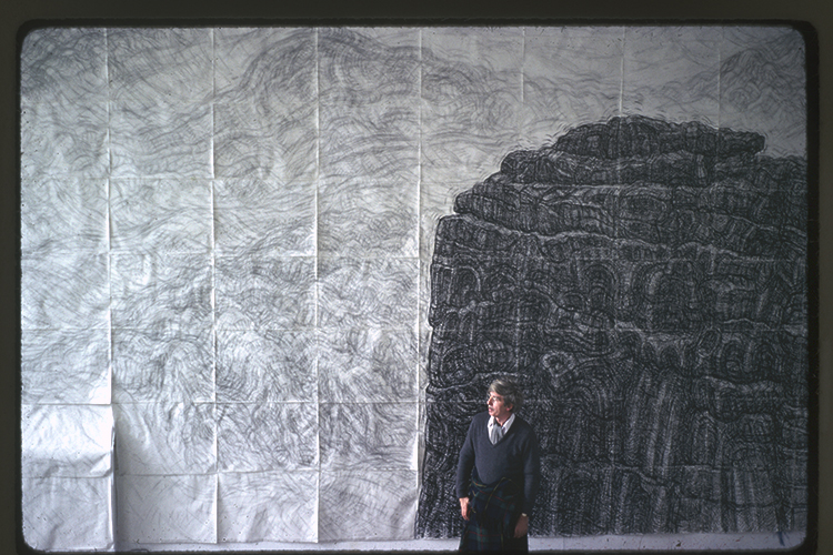 Egni, Natur, Dirgryniad gan Leonard McComb RA (1930 i 2018)